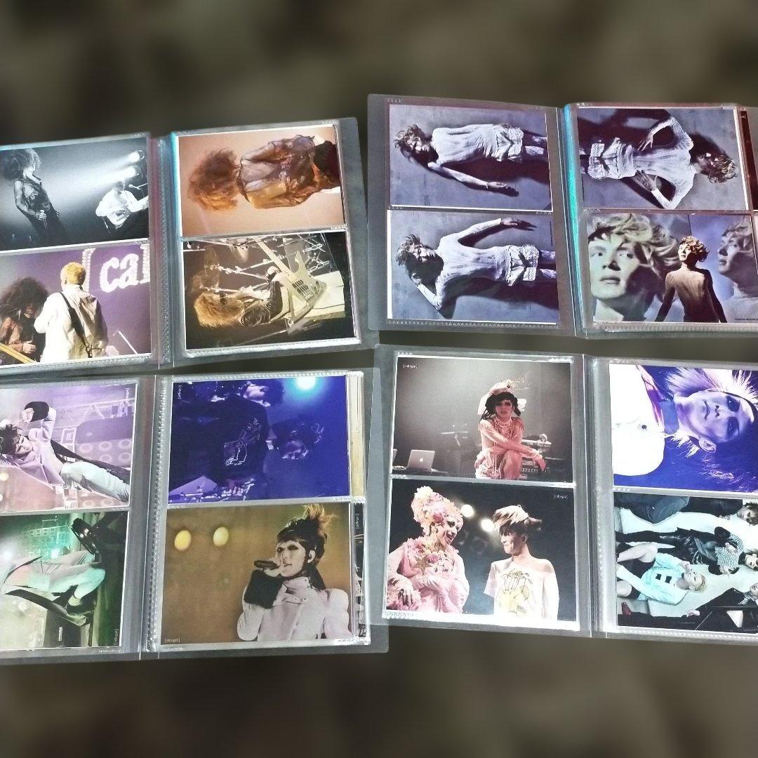 枚数追加♡355枚♡☆cali≠gari (ほぼ石井秀仁) ブロマイド等