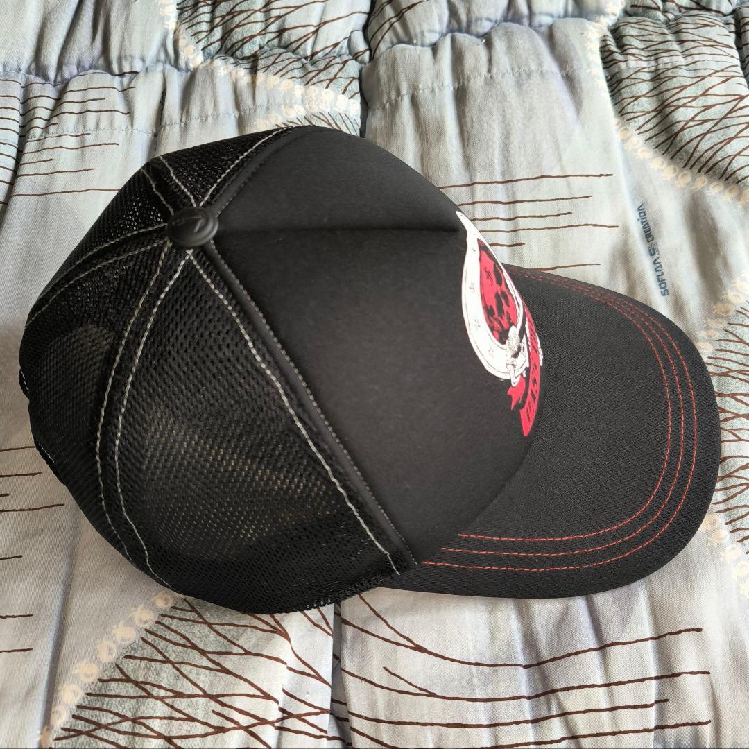 ARTMATIC PASS THE MIC キャップ Diggy-MO' 着用