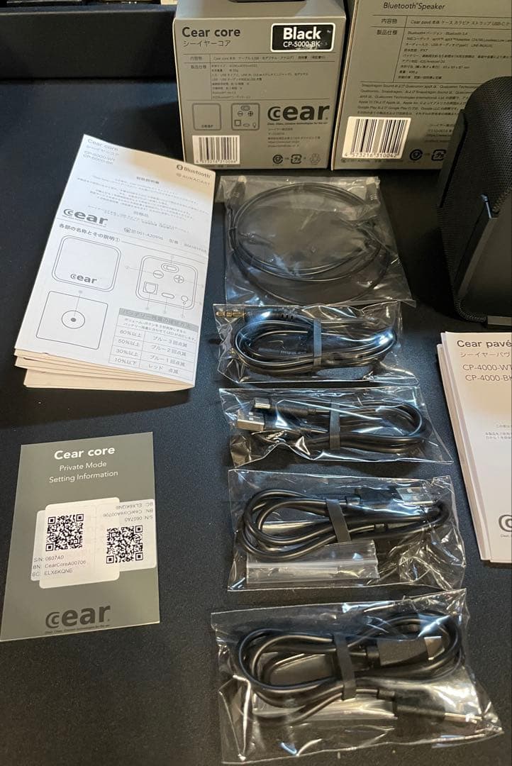 n*y様 cear pavé シーイヤーパヴェ黒×2式、シーイヤーコア黒×1式