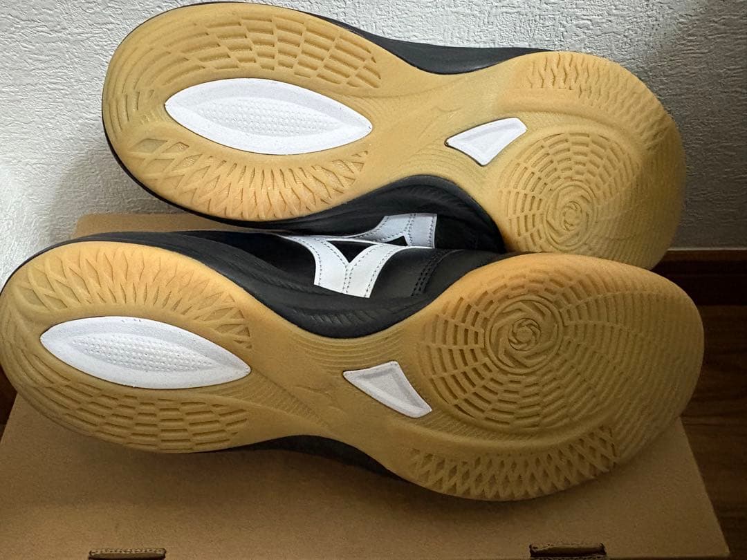 【MIZUNO】モレリア SALA ELITE IN フットサルシューズ