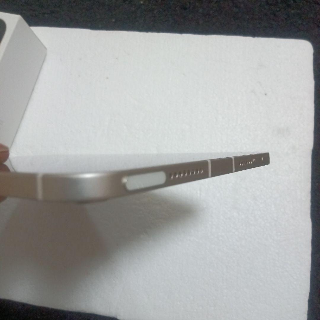 iPad mini6 256 セルラー Cellular