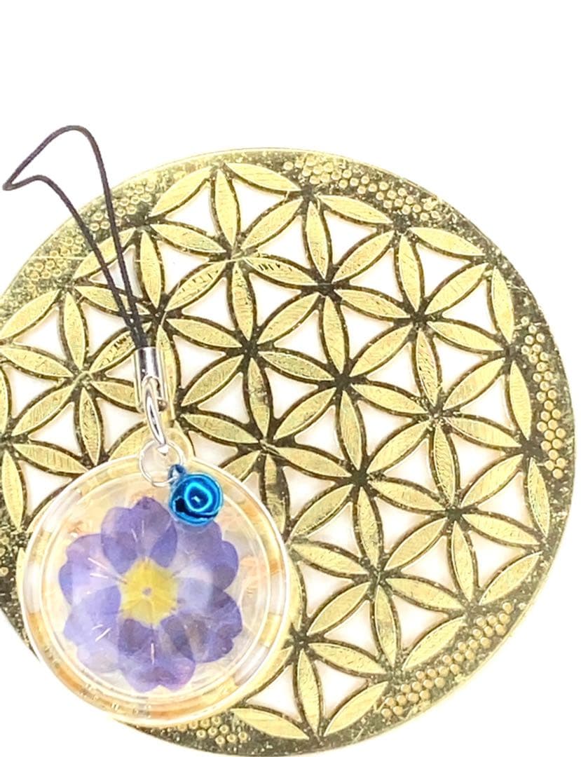 福招鈴✨パープル✨蛇の抜け殻✨第6チャクラ✨白蛇のお守り【天赦日ご祈祷済】紫AA