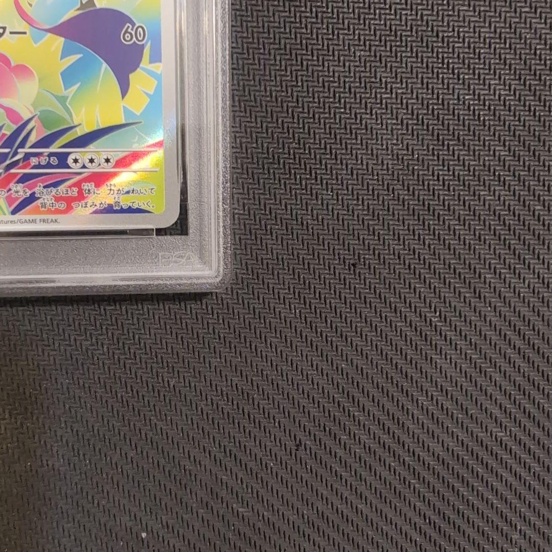 フシギダネAR とフシギソウPSA10　2連番