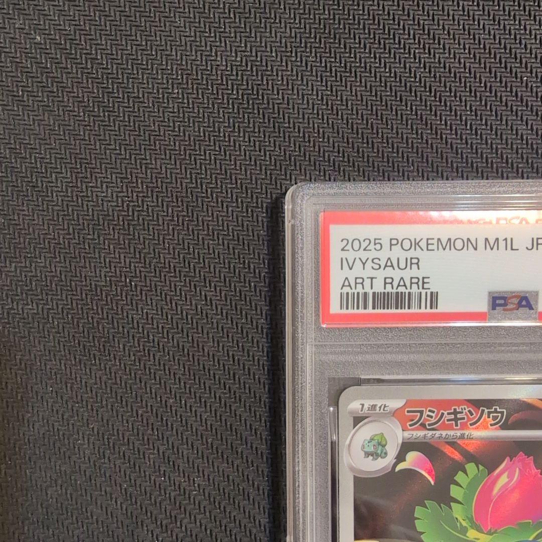 フシギダネAR とフシギソウPSA10　2連番