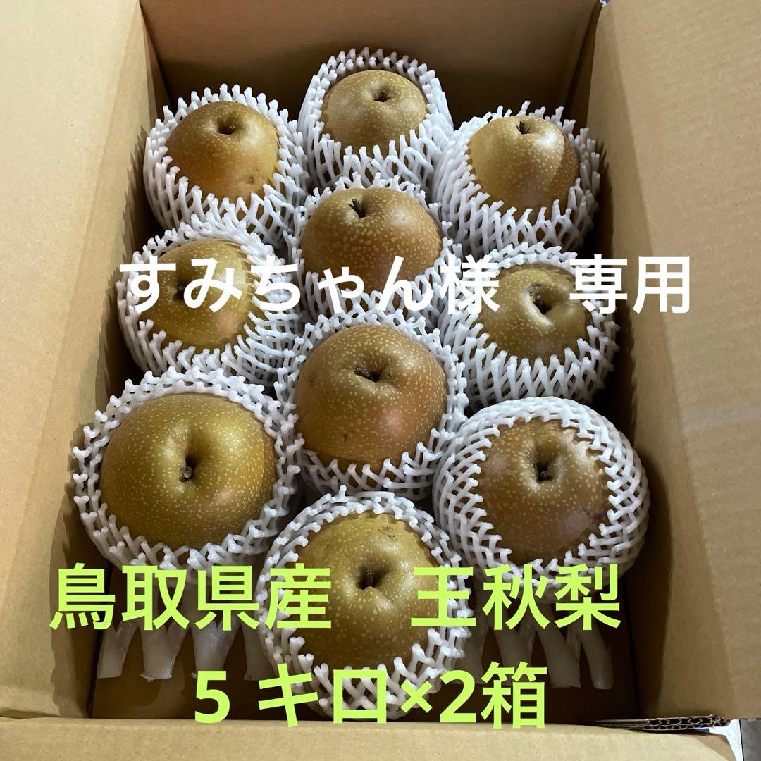 すみちゃん　鳥取県産 王秋梨10キロ