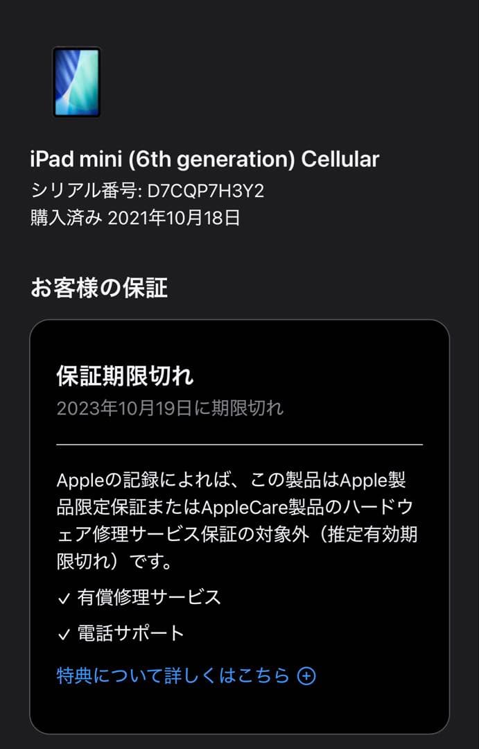 iPad mini 8.3インチ 第6世代 256GB グレイ simフリー