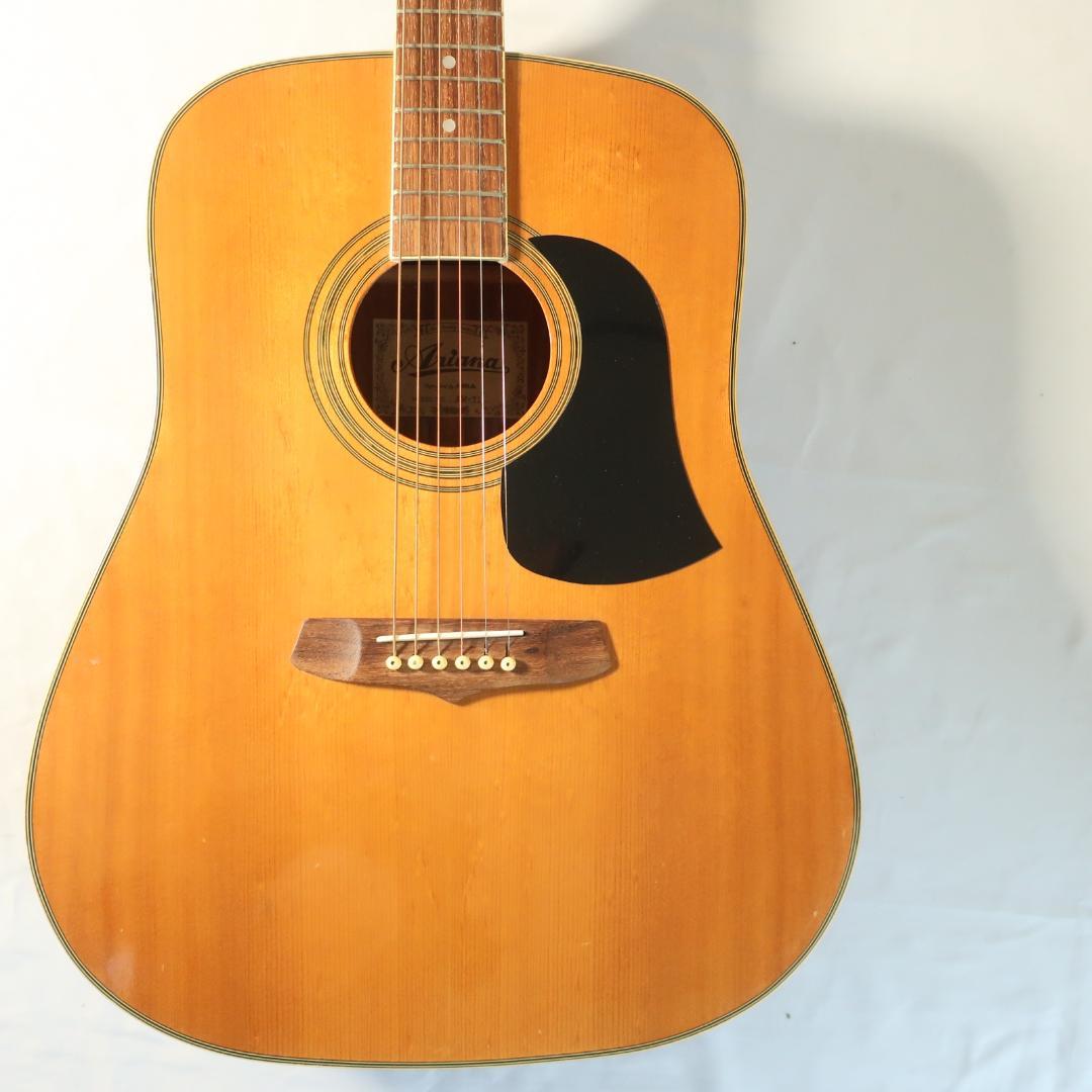 Ariana AW-71 アコースティックギター ケース付 PEヘッドシェイプ