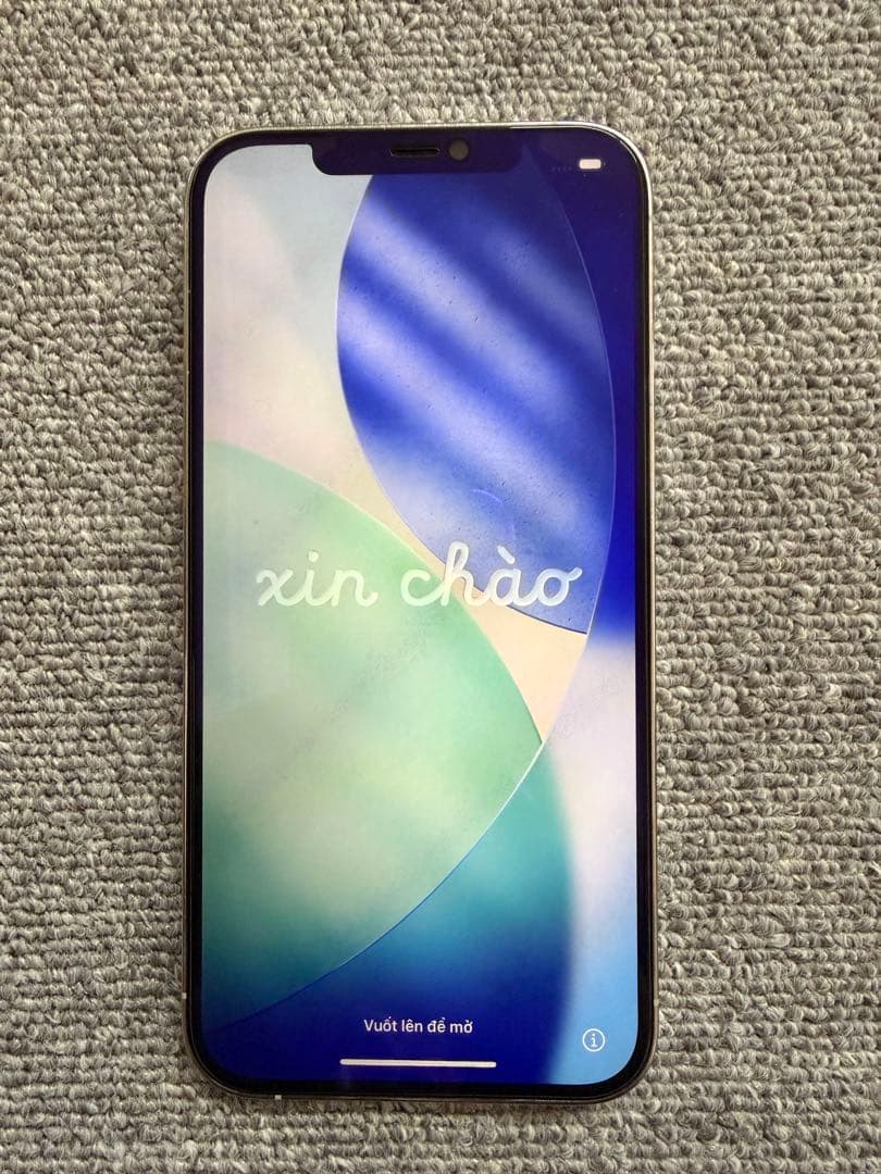 Apple iPhone 12 PROMAX 本体