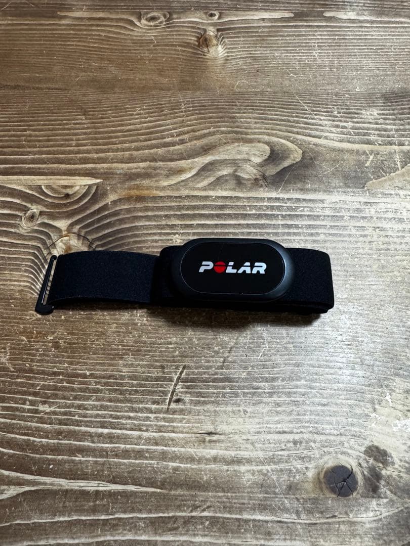 ポラール Polar H10 N 心拍センサー 心拍計 ランニング トレーニング