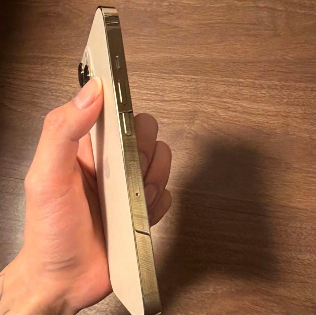 ジャンク品 iPhone13Pro 256GB