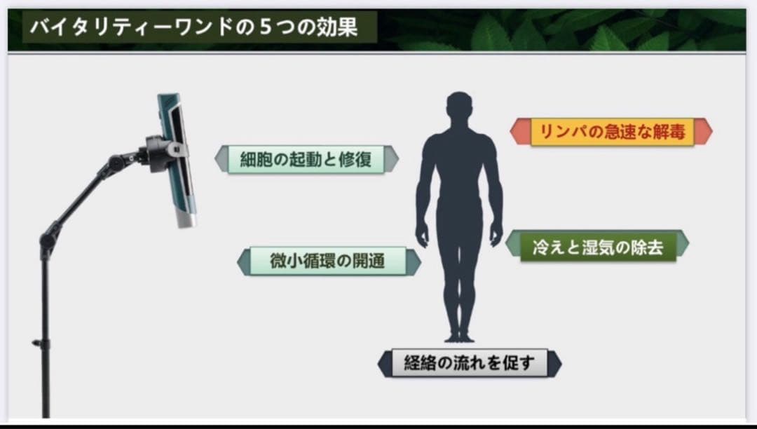 オリーライフ　バイタリティ-ワンド　2025年9月　新品未使用　未開封