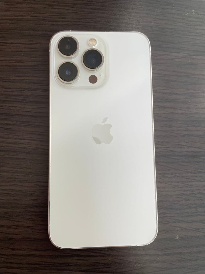 Apple iPhone 13 Pro 256GB ジャンク品