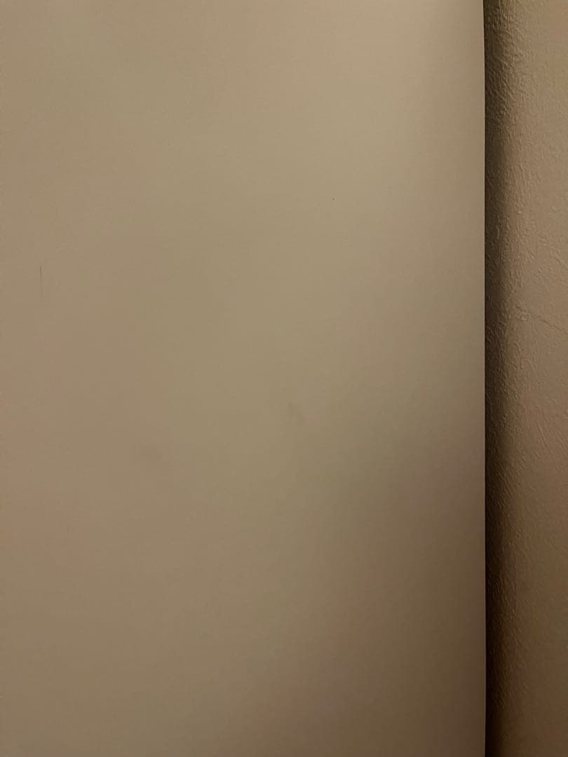 KAGUCOCO 鏡面ホワイト 食器棚・レンジ台　大川家具