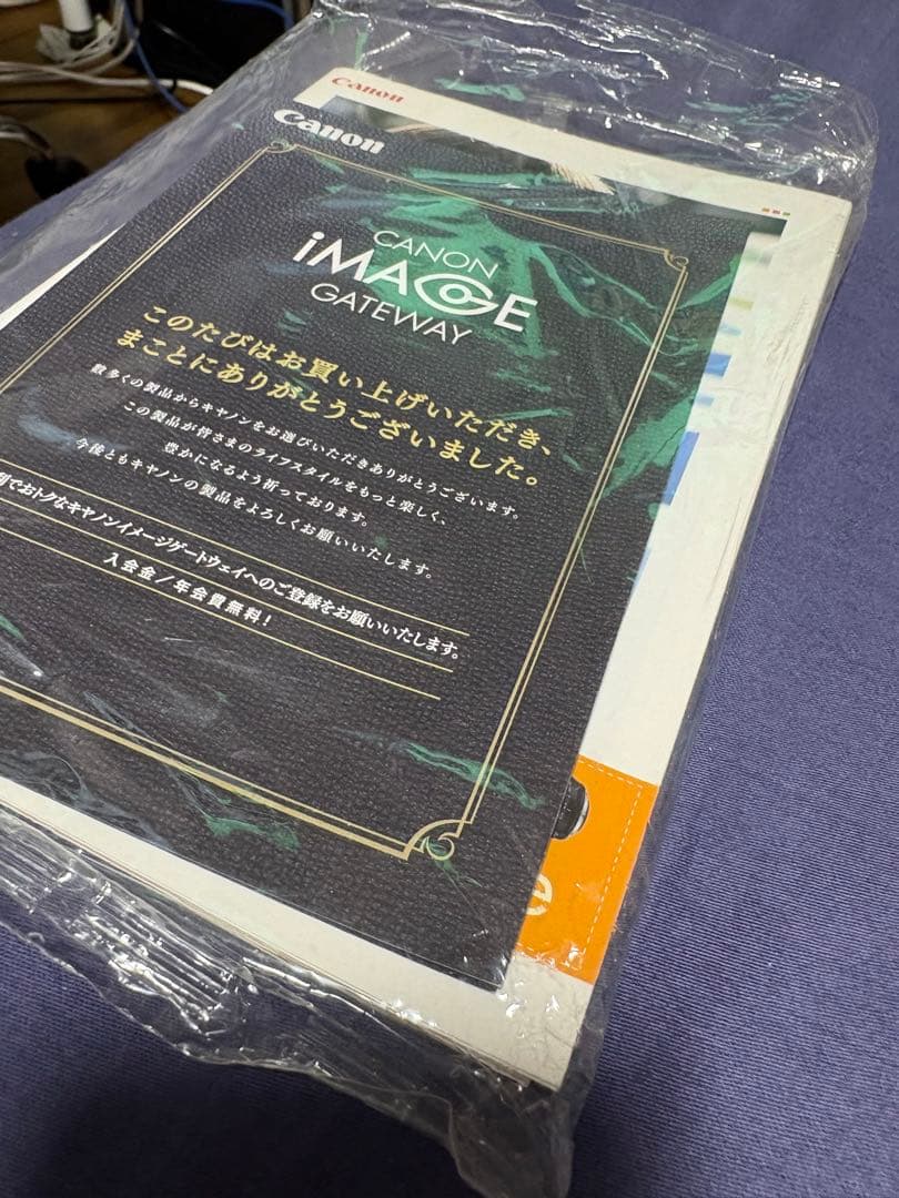 ❣️特別値下げ❣️動作確認済Canon EOS Kiss X7 ダブルズームキット