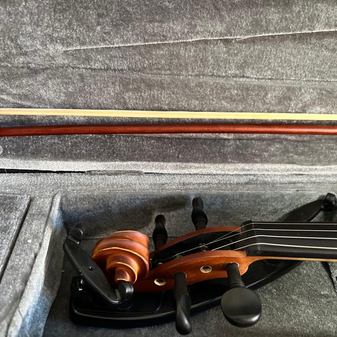 【美品｜ケース付】HALLSTATT ハルシュタット V-12