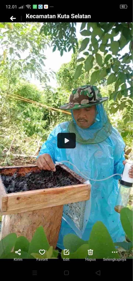 針なしミツバチの蜂蜜、ココナッツシュガー、クサンバの塩、ターメリックパウダー
