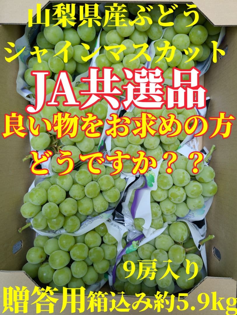 山梨県産ぶどう　共選品シャインマスカット　9房入り箱込み約5.9kg