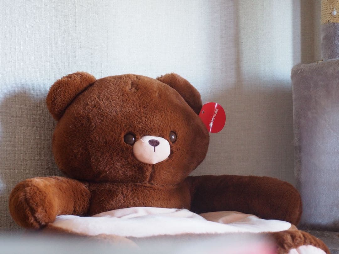 【デジタルカメラ】OLYMPUS OM-D E-M10 Mark II