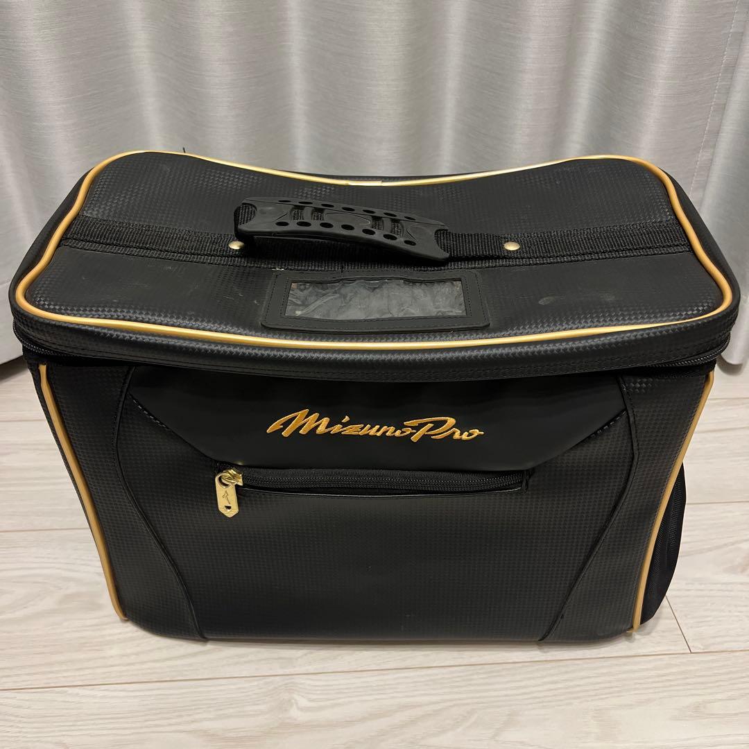 ミズノプロ　グラブケース