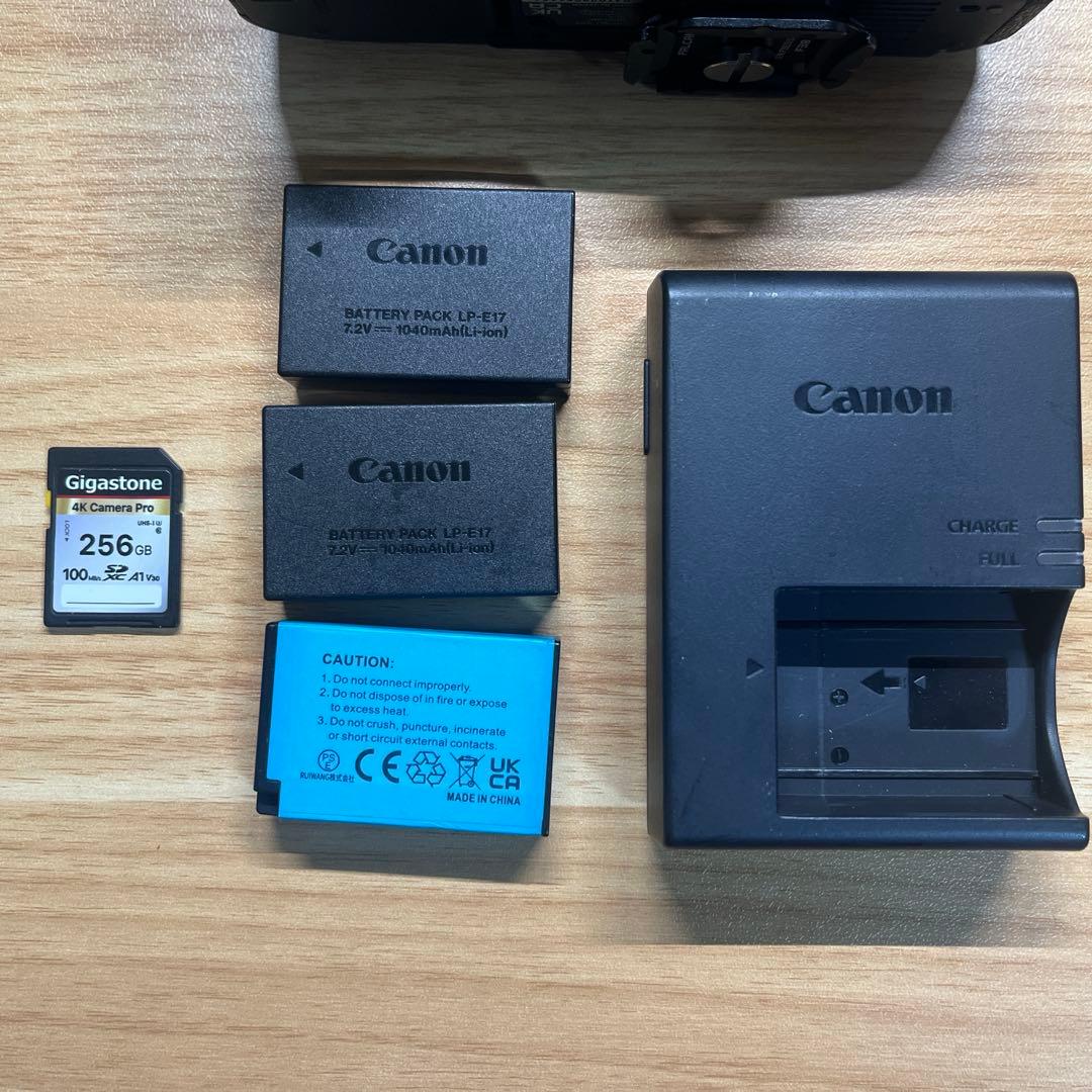 Canon EOS R8 ミラーレスカメラ 本体 その他付属品多数