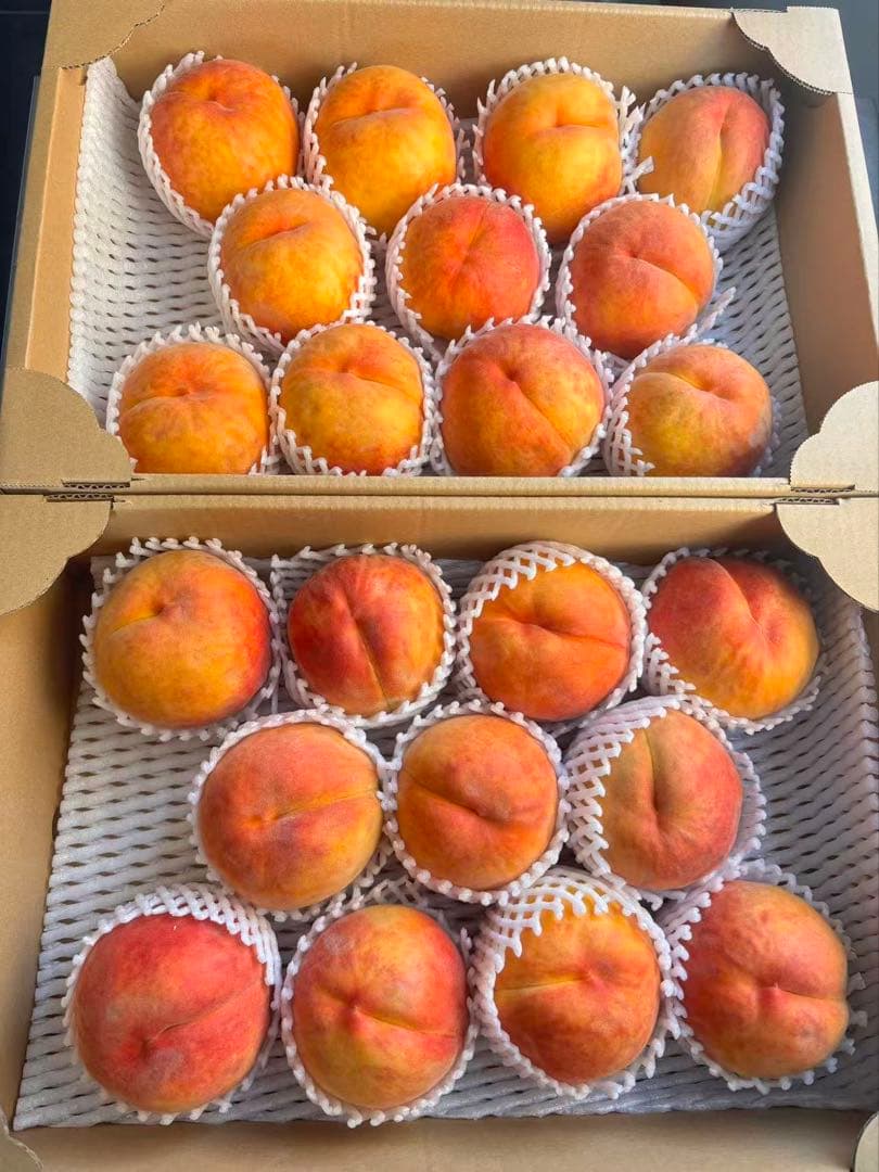 高瀬様限定 長野産ワッサー箱入り13キロ