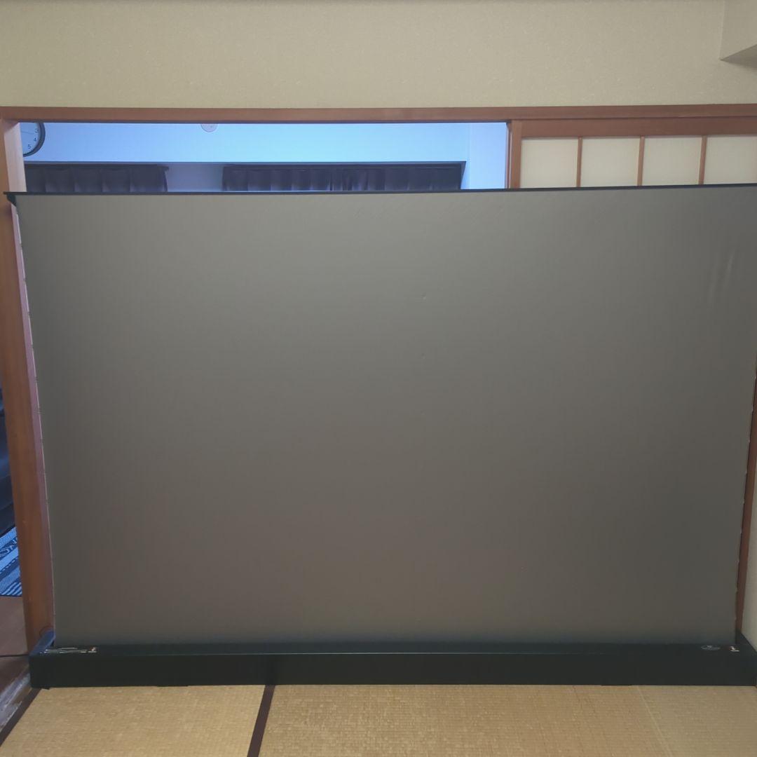 VIVID STORM SINCE 2004 100インチ