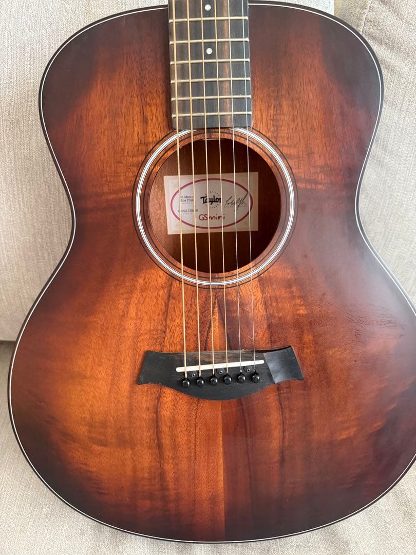 Taylor GS Mini Koa plus (2024年製)
