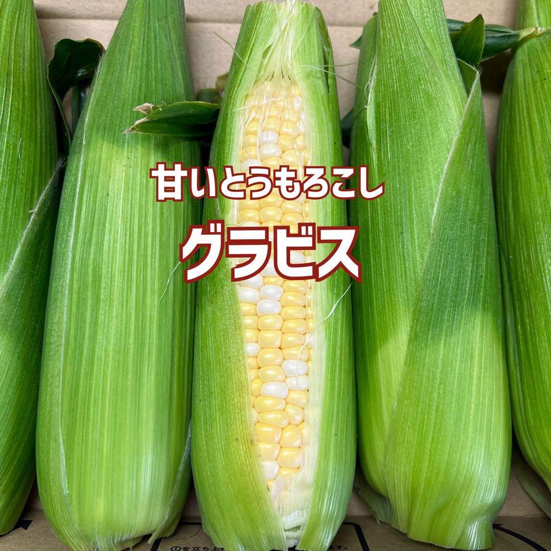 限定販売❣️粒が柔らかく甘いバイカラーとうもろこし（グラビス）皮つき40本