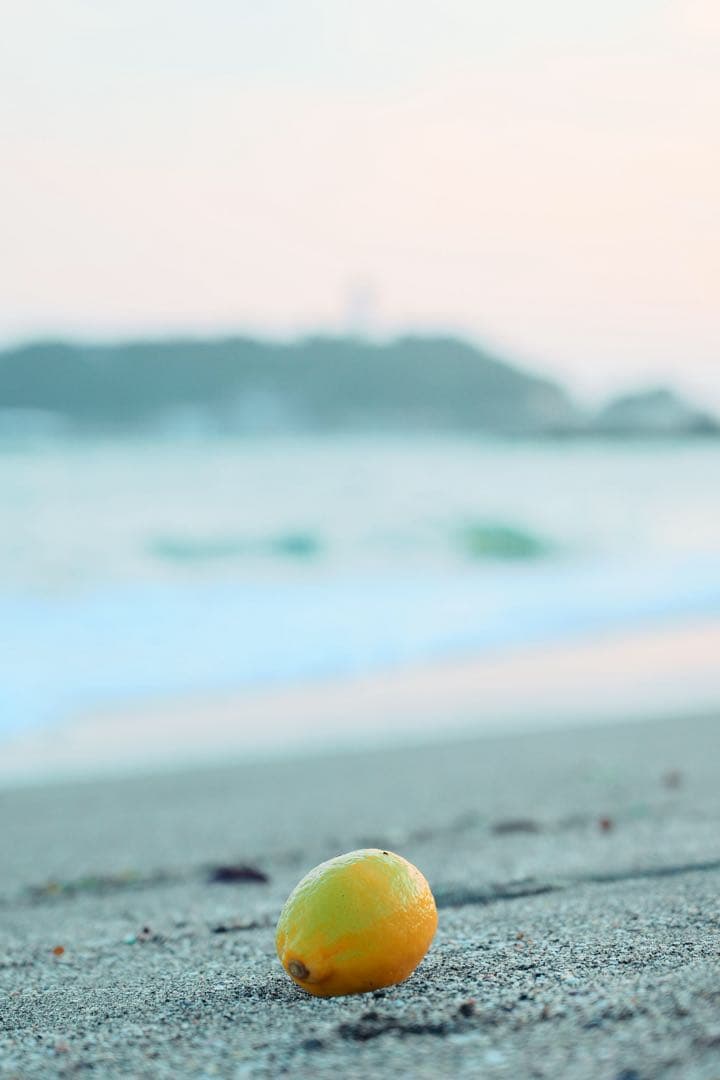 レンズ(ズーム) NIKKOR Z 24-70 f/4 S