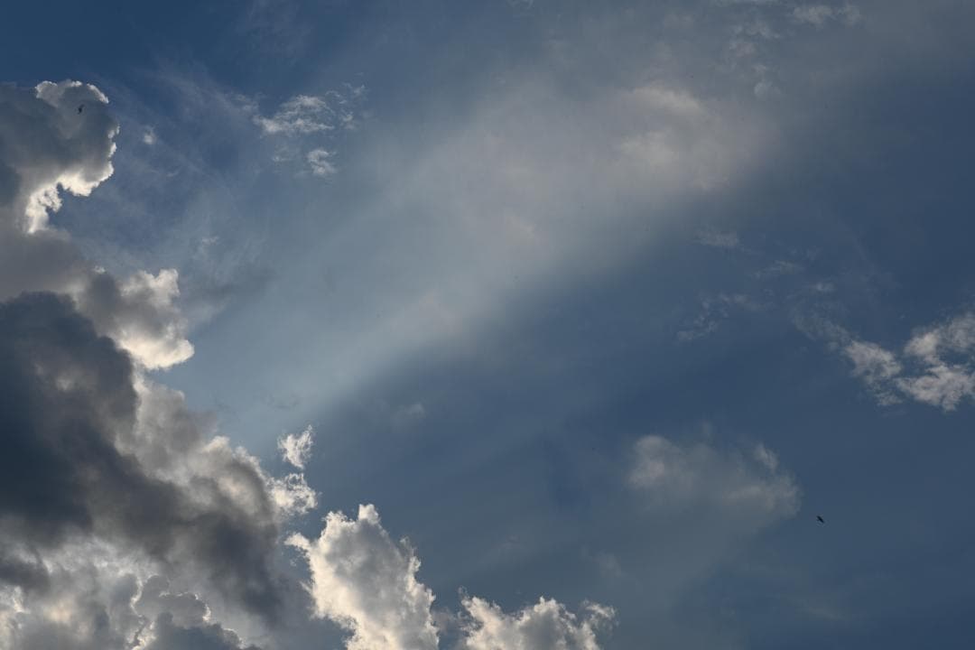 レンズ(ズーム) Nikon AF-S N NIKKOR 24-70mm F2.8G ED