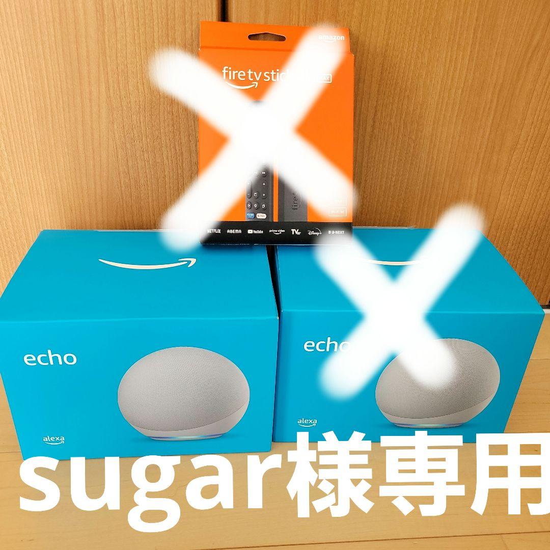 廃盤Echo (第4世代)