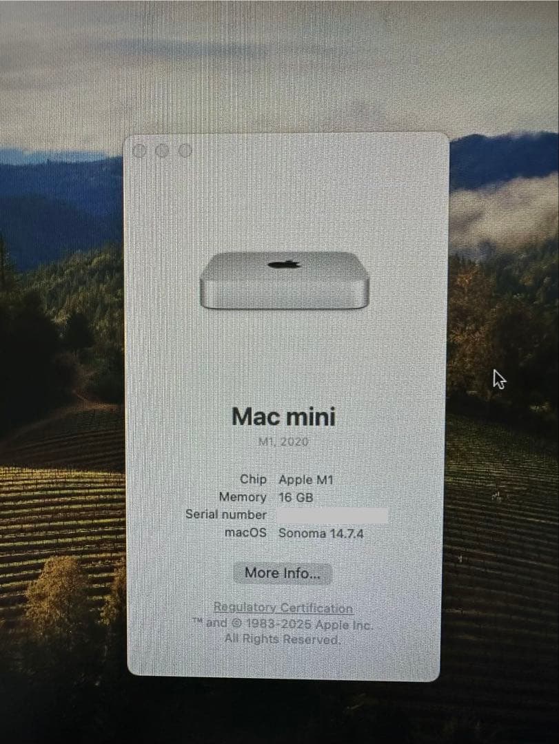 Macデスクトップ Mac mini M1 16GB/256GB