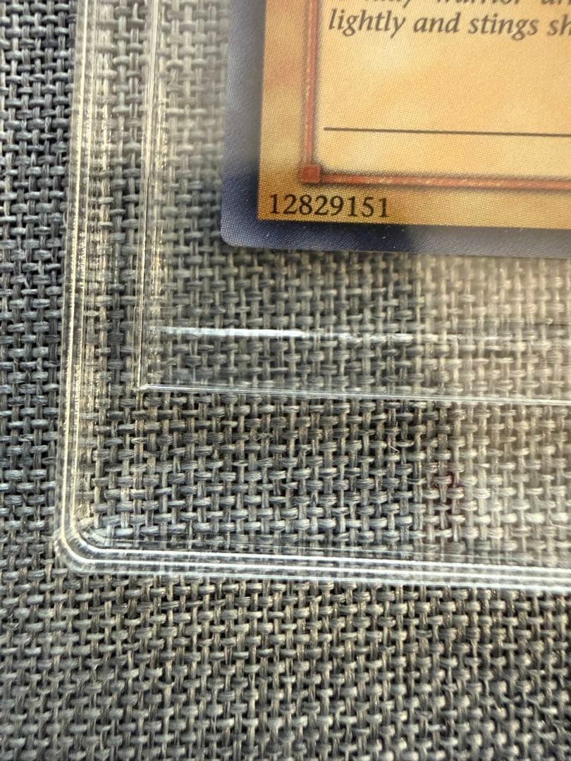 女剣士カナン WCS-001 旧アジア版（英語）フルセット　当選通知書・封筒付