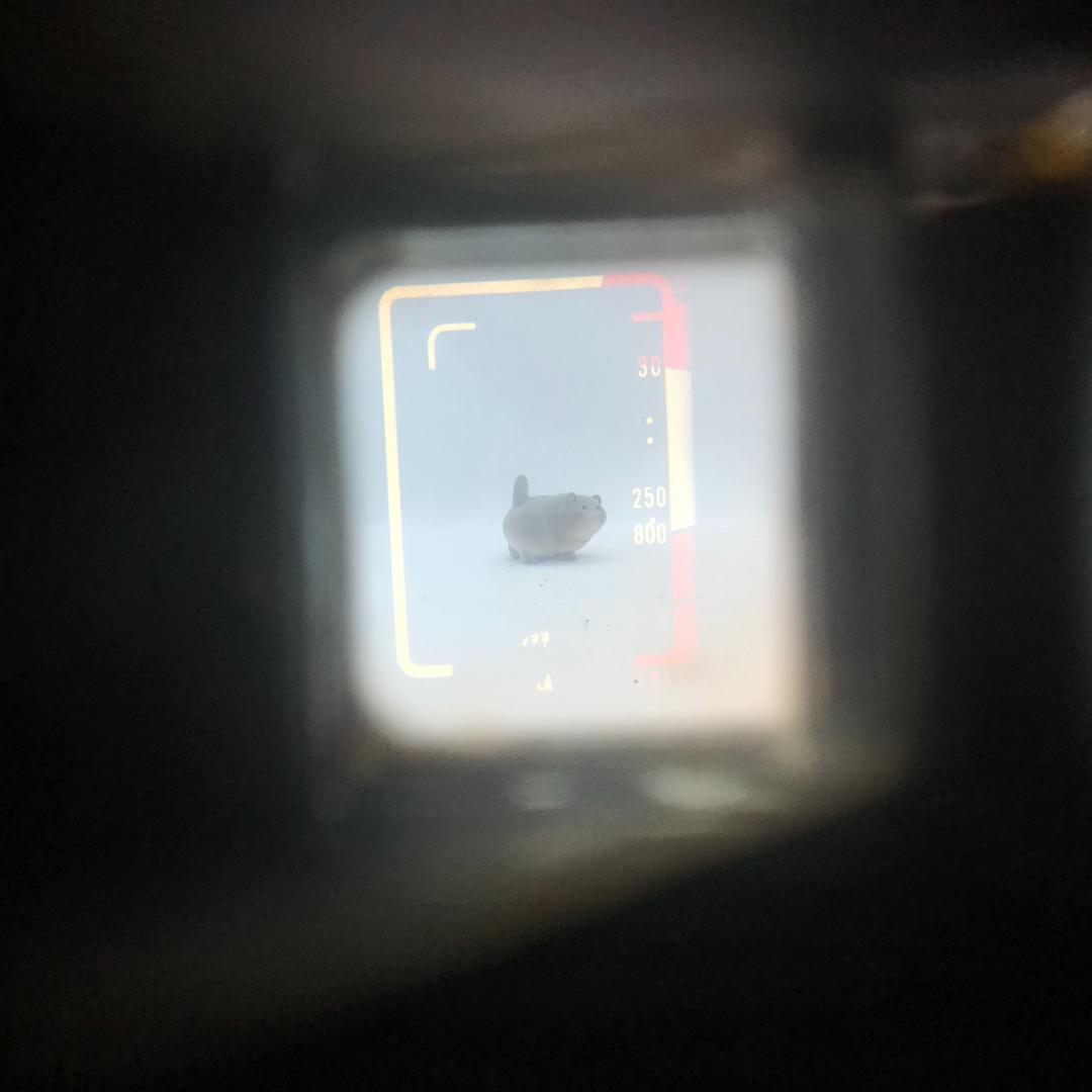 【C6566】《分解清掃済》YASHICA HALF 17 フイルムカメラ