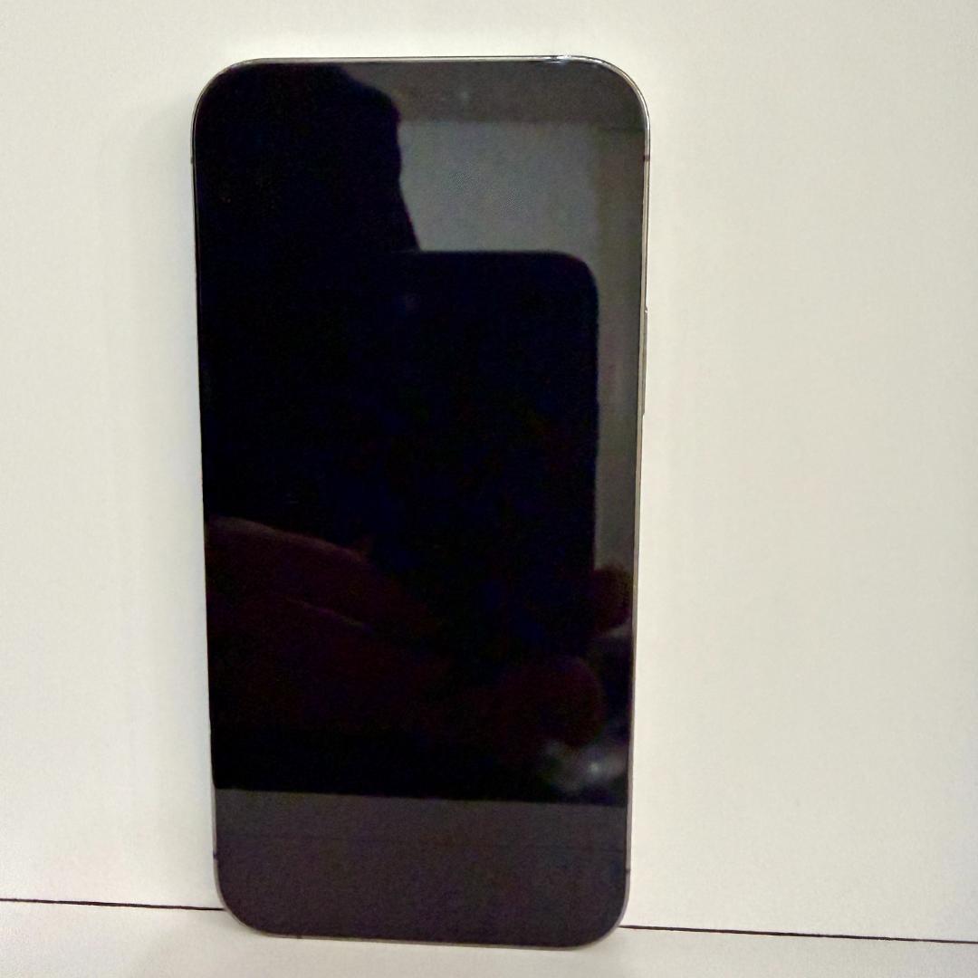 【画面美品】iPhone 12 Pro 256GB グラファイト SIMフリー