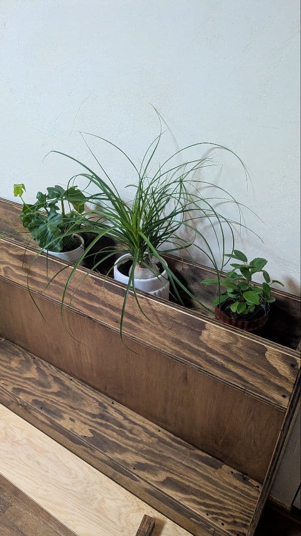 ブランドマニア様発注分です♫