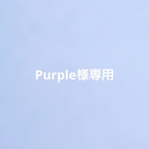 Purple 1/6アームソファ(スクエア)▪️ウィングチェア3人用