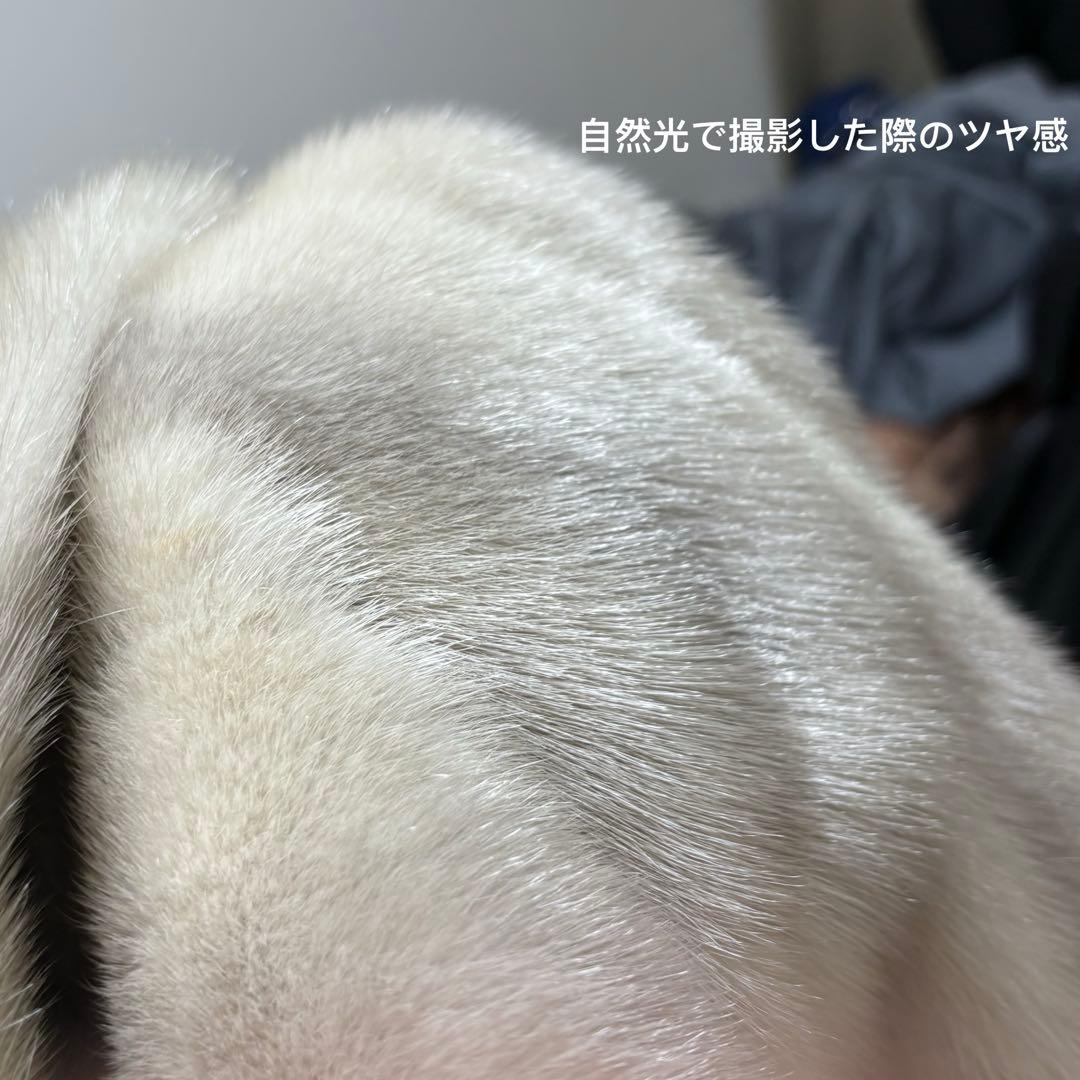 【肉厚人気カラー】 MOONBAT サファイアミンク　毛皮コート