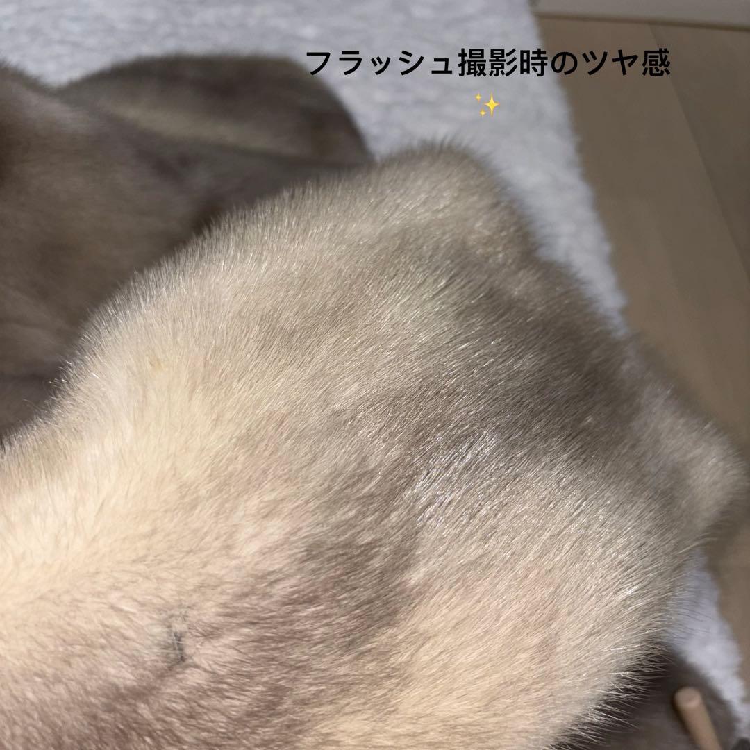 【肉厚人気カラー】 MOONBAT サファイアミンク　毛皮コート