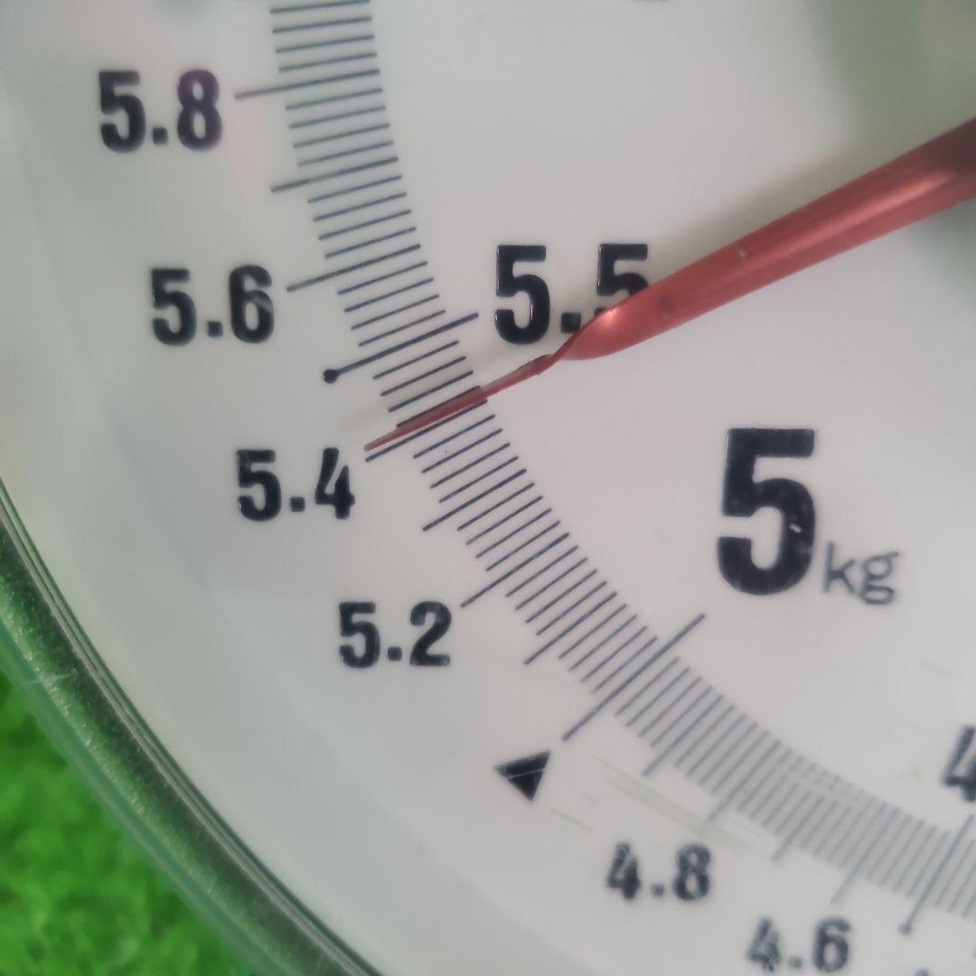 1⃣4️⃣ 山梨県産 シャインマスカット １０房入り 箱込み5.3キロ