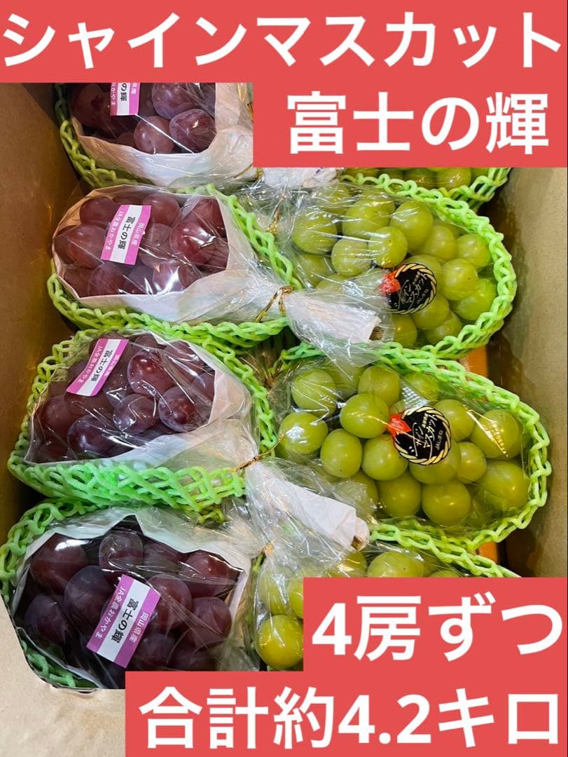 ① 【島根県産】 シャインマスカット4房 【岡山県産】 富士の輝　4房