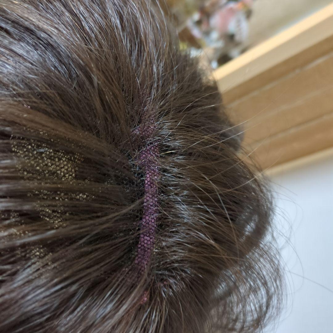 最終お値下げ！スヴェンソン医療用ウィッグブラウン 未使用に近い