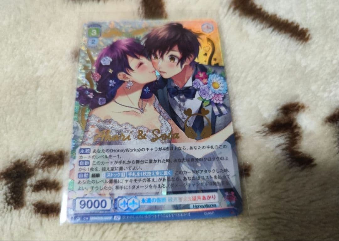 HoneyWorks 永遠の信頼 望月蒼太&望月あかりSP ブラウ