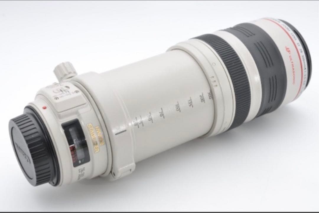 極美品　Canon EF 28-300mm F3.5-5.6L IS USM