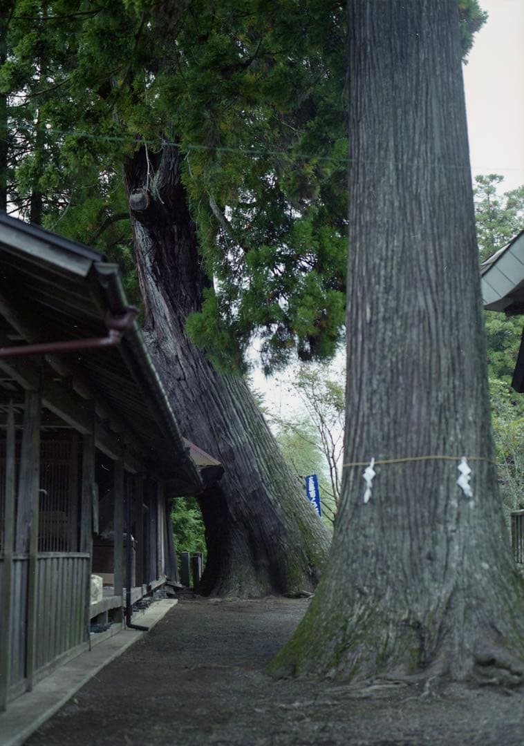 mamiya 645 super AEプリズムファインダー＆モーターワインダー