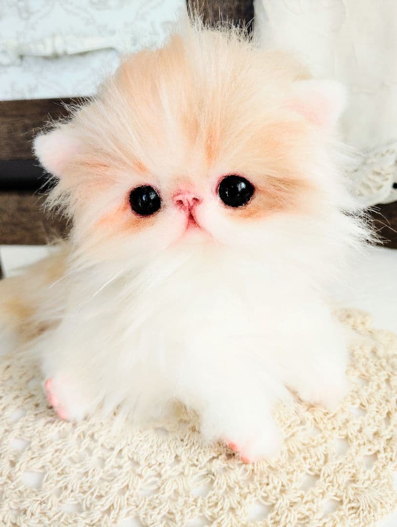 子猫のメイちゃん♡エキゾチックロングヘア♡アートドール♡ぬいぐるみ♡