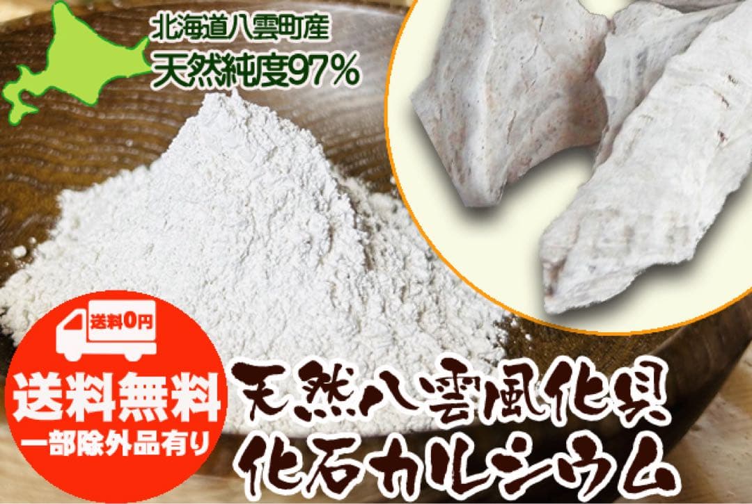 【天然八雲風化貝化石カルシウム950g】北海道八雲町産　粉末
