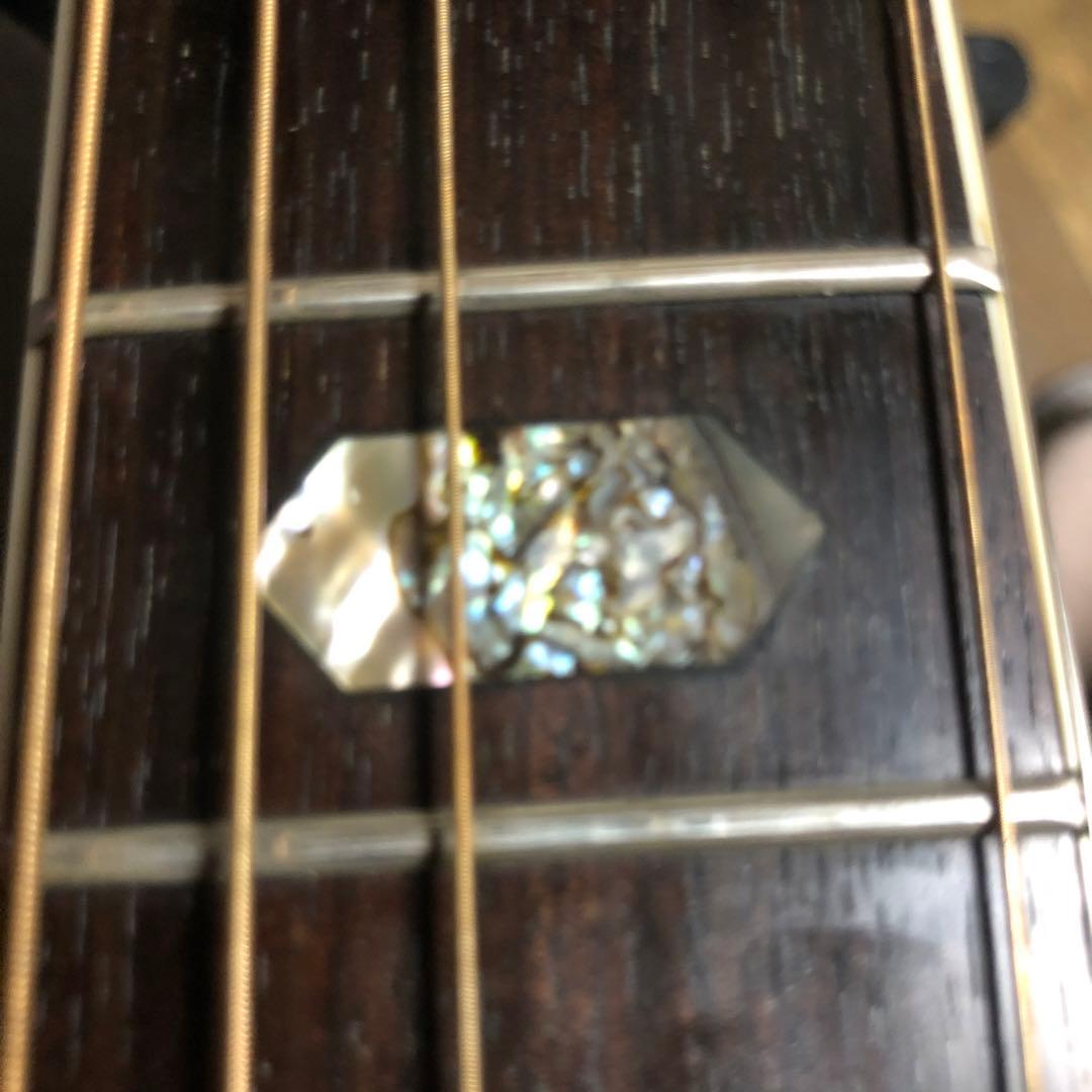 モーリス　morris TF W-50 78年製　スプルース単板　ハードケース付