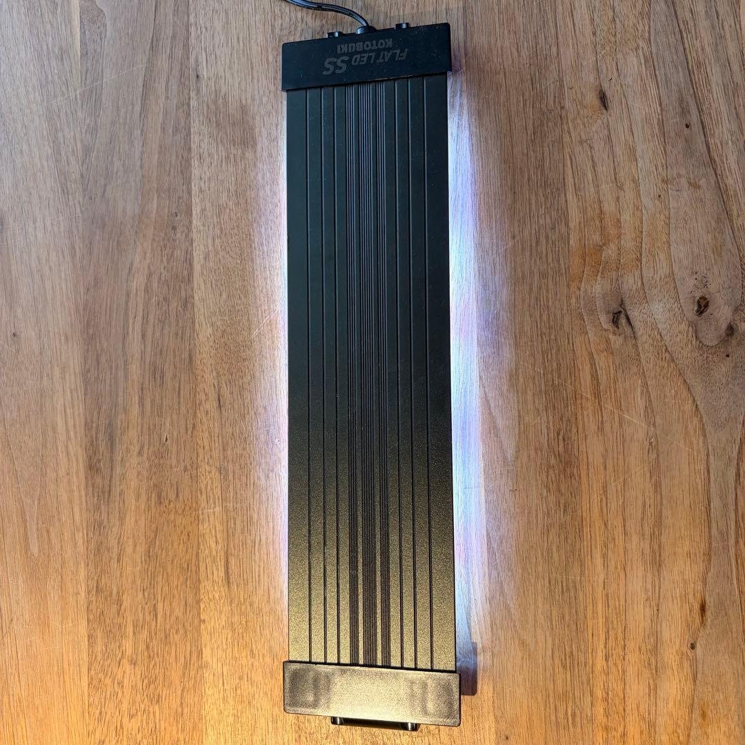 苔テラリウム　植物育成LED付