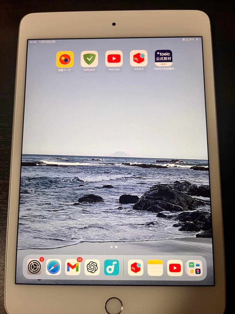iPad mini (第5世代) シルバー　64GB wifiモデル　本体のみ